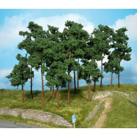 HEKI 1953 Sosna 10-16 cm, 9 szt.