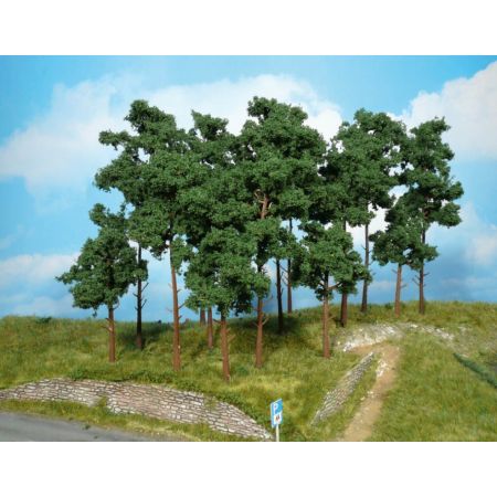 HEKI 1954 Sosna 20 cm, 5 szt.