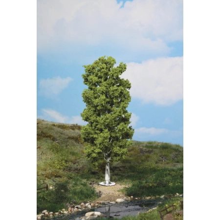 HEKI 1984 Brzoza 20 cm, 1 szt.