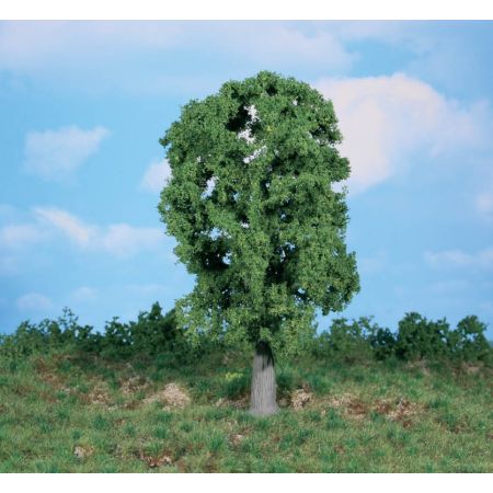 HEKI 1987 Dąb 20 cm, 1 szt.