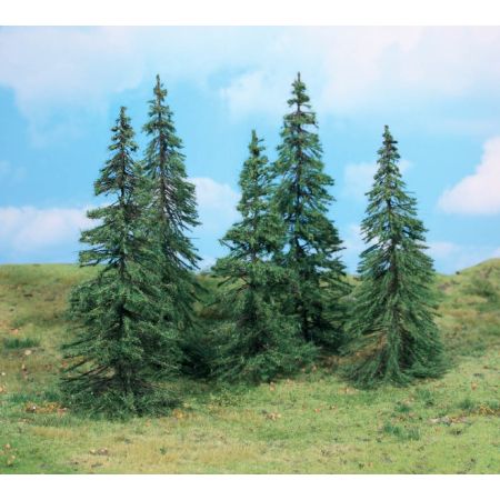 HEKI 2170 Jodła 14-18 cm, 5 szt.