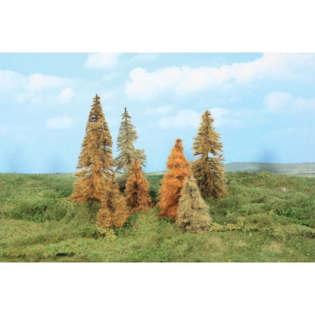 HEKI 2178 Modrzew jesienny 7-11 cm 7 sztuk