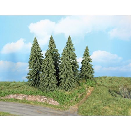 HEKI 21801 Jodły 14-18 cm, 6 szt.