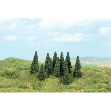 HEKI 2196 Sosna 5-7 cm. 100 sztuk