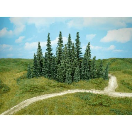 HEKI 2230 Jodła 5-7 cm, 100 szt.