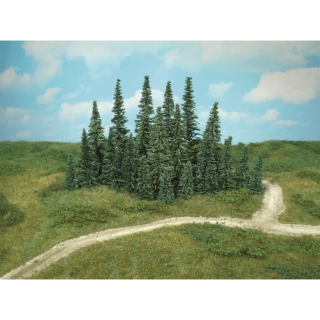 HEKI 2232 Jodła 9-15 cm, 24 szt.