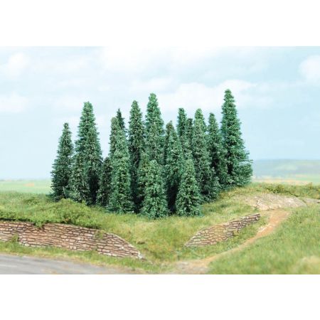 HEKI 2236 Jodła srebrzysta 5-9 cm, 20 szt.