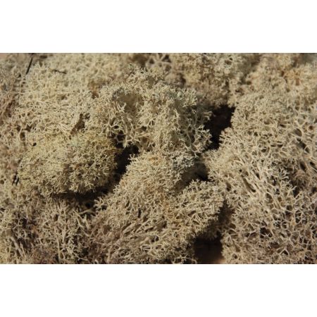 HEKI 3212 Mech szary 30 g