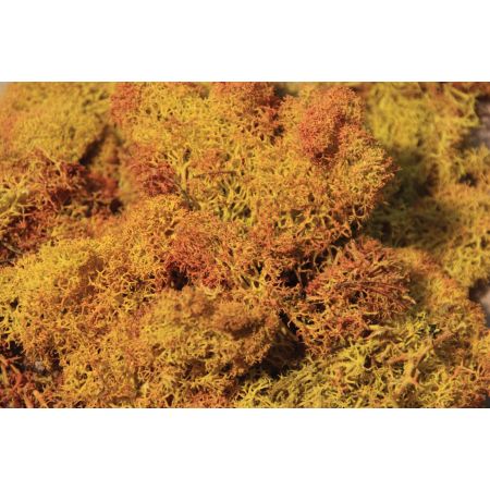 HEKI 3216 Mech czerwono-żółty 30 g