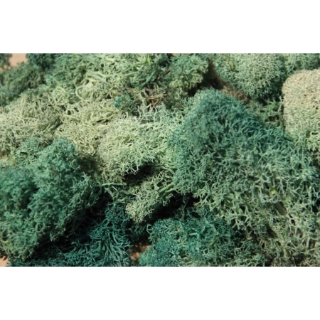 HEKI 3217 Mech szaro-zielony 30 g