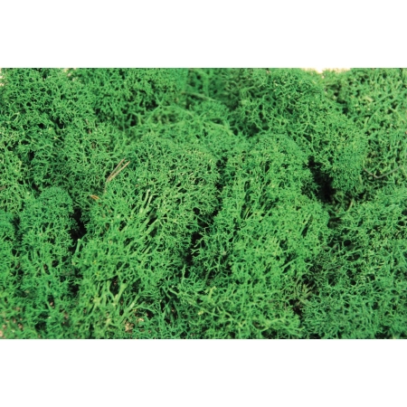 HEKI 3220 Mech ciemnozielony 75 g