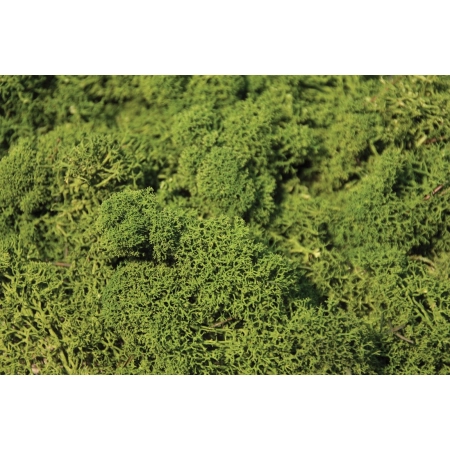 HEKI 3234 Mech zielony 250 g