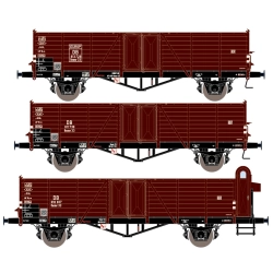 EXACT-TRAIN EX20151 Villach Ommr 809863 (EX20151A), DB Villach Ommr 814015 (EUROP) (EX20151B), DB Villach Ommr 812308 (EUROP) (Bremserhaus) (EX20151C)