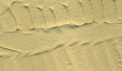 Vallejo 26217 Desert Sand 200 ml.
