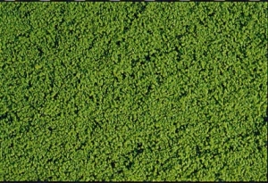 Heki 1601 Heki Mikroflor zielony 28x14 cm