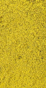 Heki 1589 Kwiaty żółte 28x14 cm