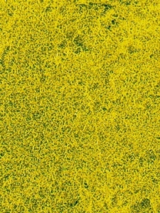 Heki 1593 Trawa żółtozielona niska 28x14 cm