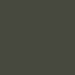 VALLEJO 70975 Model Color 096 - Military Green - 18 ml