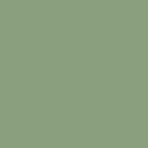 VALLEJO 70974 Model Color 076 - 974-17 ml. Green Sky