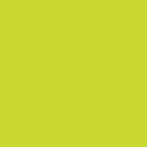 VALLEJO 70954 Model Color 090 - Yellow Green - 18 ml